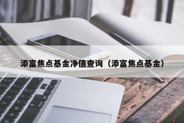 添富焦点基金净值查询（添富焦点基金）