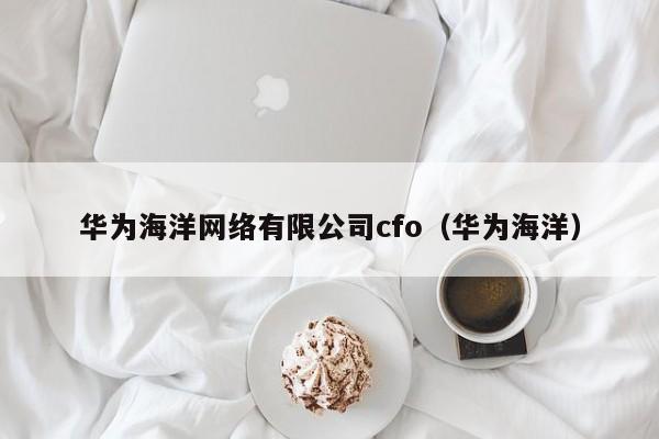 华为海洋网络有限公司cfo（华为海洋）