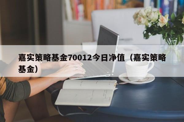 嘉实策略基金70012今日净值（嘉实策略基金）