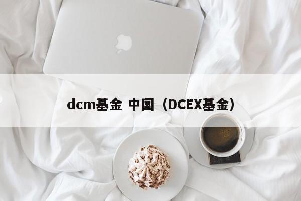 dcm基金 中国（DCEX基金）