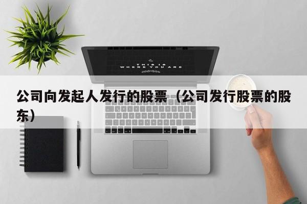 公司向发起人发行的股票（公司发行股票的股东）