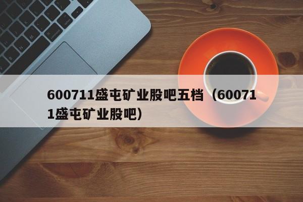 600711盛屯矿业股吧五档（600711盛屯矿业股吧）