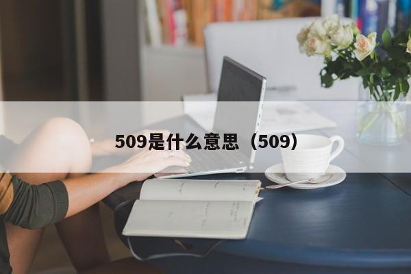 509是什么意思（509）