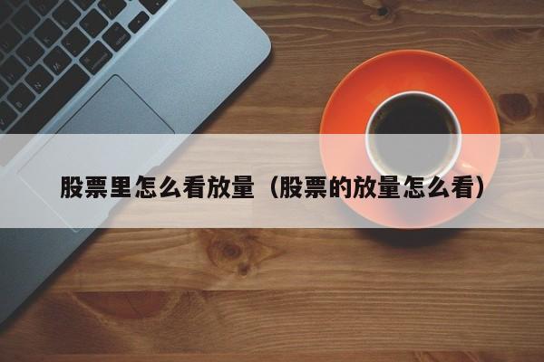 股票里怎么看放量（股票的放量怎么看）