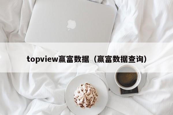 topview赢富数据（赢富数据查询）