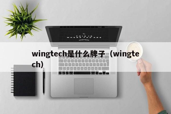 wingtech是什么牌子（wingtech）