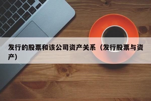 发行的股票和该公司资产关系（发行股票与资产）