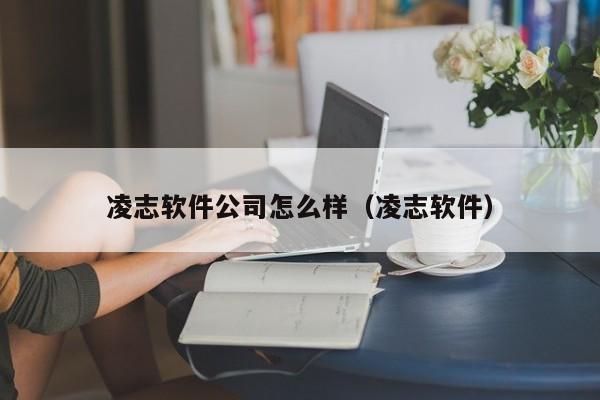 凌志软件公司怎么样（凌志软件）