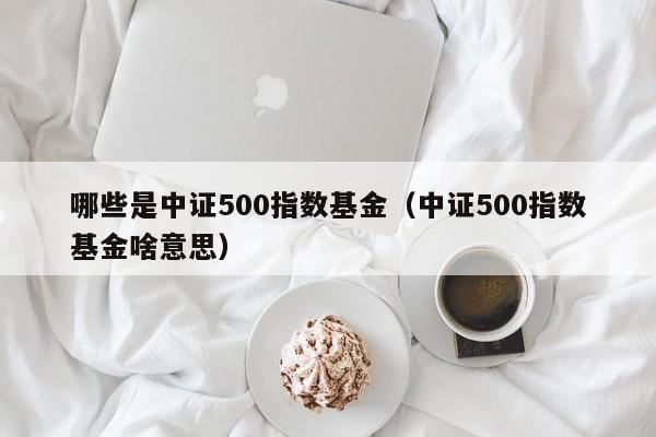 哪些是中证500指数基金（中证500指数基金啥意思）