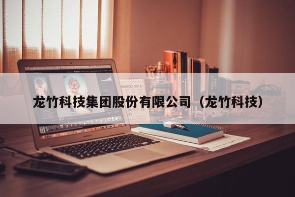 龙竹科技集团股份有限公司（龙竹科技）