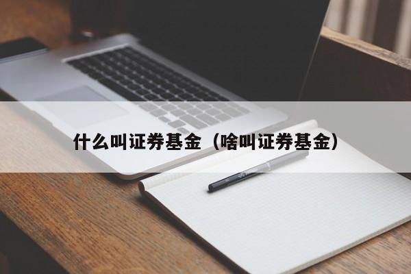 什么叫证券基金（啥叫证券基金）