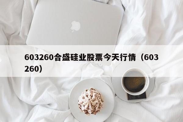 603260合盛硅业股票今天行情（603260）