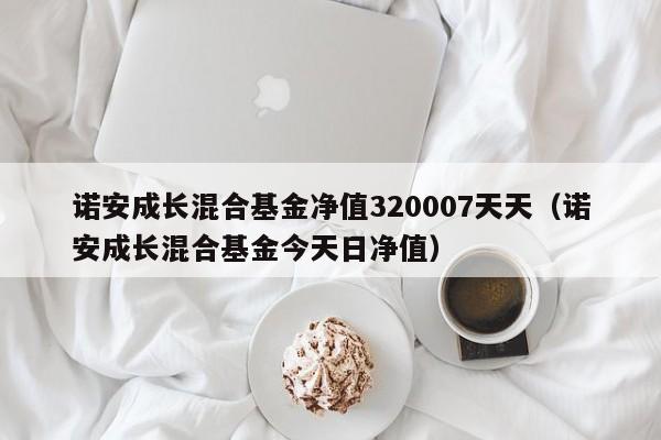 诺安成长混合基金净值320007天天（诺安成长混合基金今天日净值）