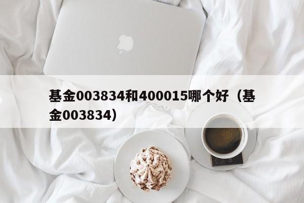 基金003834和400015哪个好（基金003834）