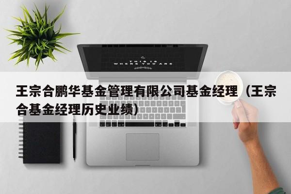 王宗合鹏华基金管理有限公司基金经理（王宗合基金经理历史业绩）