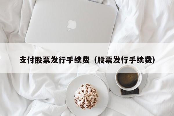 支付股票发行手续费（股票发行手续费）