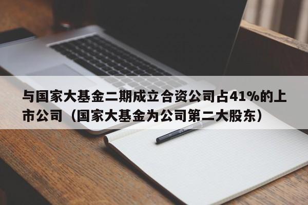 与国家大基金二期成立合资公司占41%的上市公司（国家大基金为公司第二大股东）