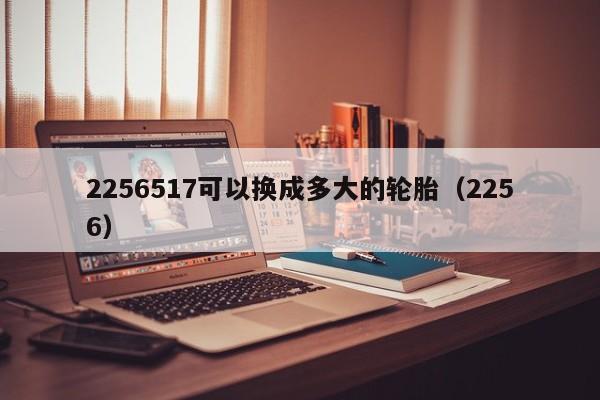 2256517可以换成多大的轮胎（2256）