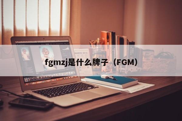 fgmzj是什么牌子（FGM）